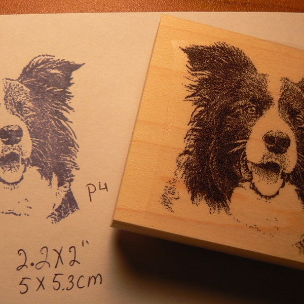 Border collie dog rubber stamp  P4