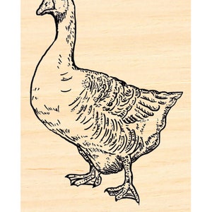 P137 Timbro di gomma d'oca