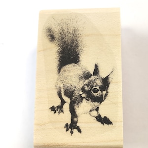 P11 Eichhörnchen Stempel