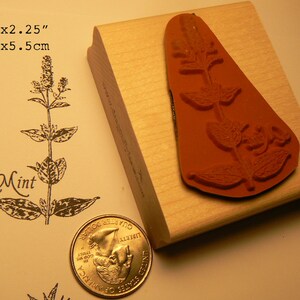 Mint Herb rubber stamp WM P55 image 2