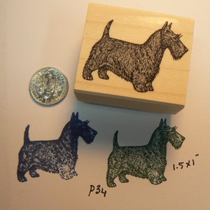 Small Scottish Terrier rubber stamp p34