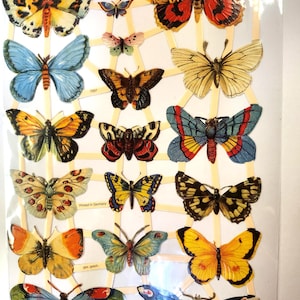 Beautiful  German scrap, die cut relief  paper 7297
