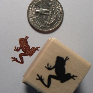 P24 Miniature tree frog rubber stamp Wm