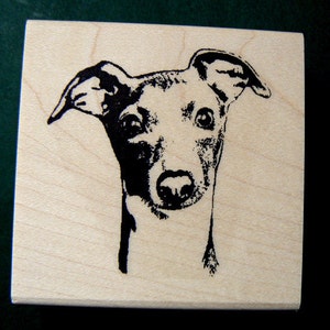 Cucciolo di levriero italiano 2x2,4 NUOVO Timbro in gomma WM P5