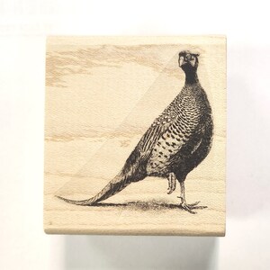 P132 Fasan Vogel Stempel