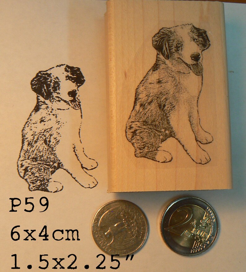 P59 Australian Shepherd Dog Rubber Stamp Etsy