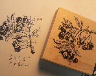 Cherries rubber stamp WM P6