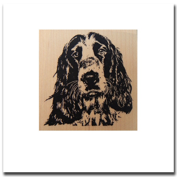 Spaniel dog rubber stamp WM P17