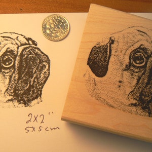 pug dog rubber stamp P7 image 1