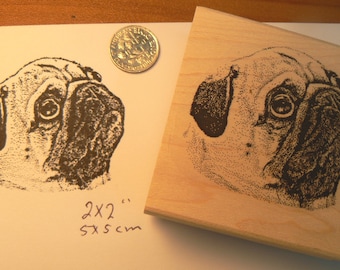pug dog rubber stamp  P7