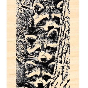 P129 Sello de goma hueco "Crías de mapache en un árbol" (2,75 x 1,7")