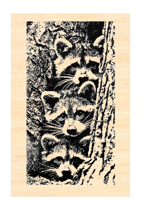 P129 Raccoon Babies in a Tree Hollow Rubber Stamp 2.75x1.7 - Etsy