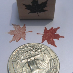 Op de afbeelding: Een houten stempel met een zwart esdoornbladontwerp en twee rode esdoornbladafdrukken op een wit oppervlak, naast een Amerikaanse kwart.