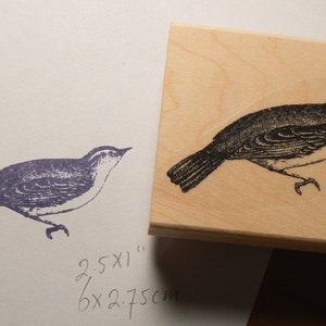 P15 Wren bird rubber stamp image 1