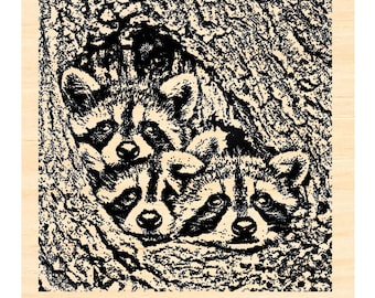 P129 Raccoon babies in a tree hollow rubber stamp 2.5x2.5"