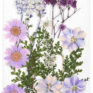 Fiori secchi per realizzare cartoline - abbellimenti - gioielli - resina art