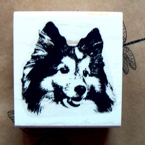 Sheltie Dog rubber stamp WM P5