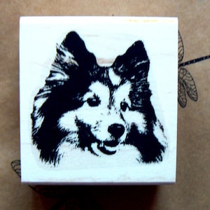 Rubberstempel Sheltiehond WM P5