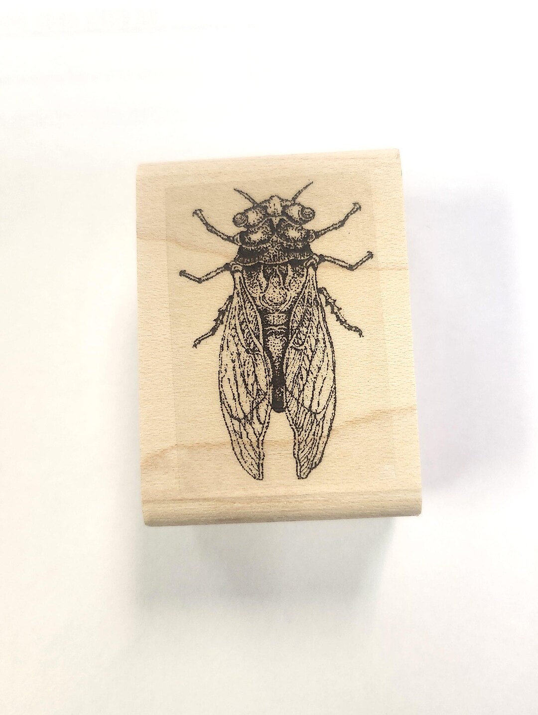 Cicada Insect Rubber Stamp P60 - Etsy