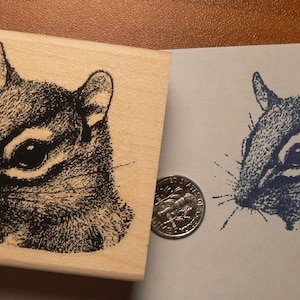 Könnte beinhalten: Eine Schwarzweißillustration eines Chipmunk-Kopfes auf einem Holzblock. Der Chipmunk schaut nach rechts. Der Block ist 2 Zoll mal 2 Zoll groß.