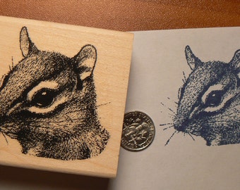 chipmunk close up rubber stamp WM P20