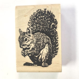 Rubberstempel eekhoorn Q2