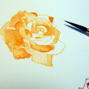 May include: A watercolor painting of a single orange rose with a brush in the background.