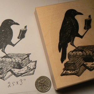 Crow reading a book rubber stamp P51