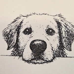 May include: A black and white illustration of a Golden Retriever dog's face, with a detailed depiction of its fur, eyes, and nose. The dog's head is positioned above a horizontal line, creating a simple yet charming design.