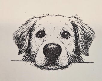 Curious Golden retriever dog face rubber stamp