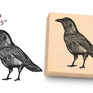 May include: A black and white illustration of a crow, with the text "P83 6x6cm 2.5x2.5"" in the upper left corner. The crow is depicted in profile, standing on a wooden block. The stamp measures 2.5 inches by 2.5 inches.