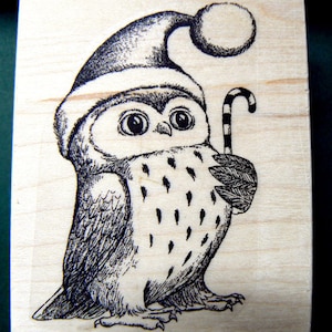 Tampon en caoutchouc hibou de Noël WM P29