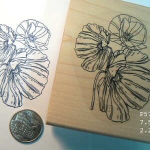 P57 Poppy flowers rubber stamp