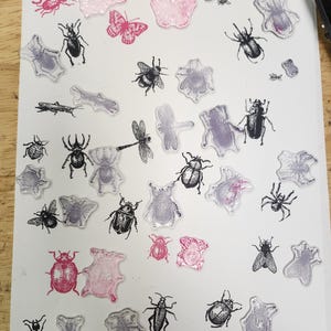 May include: A collection of clear rubber stamps featuring various insects, butterflies, and flowers. The stamps are arranged on a white surface.