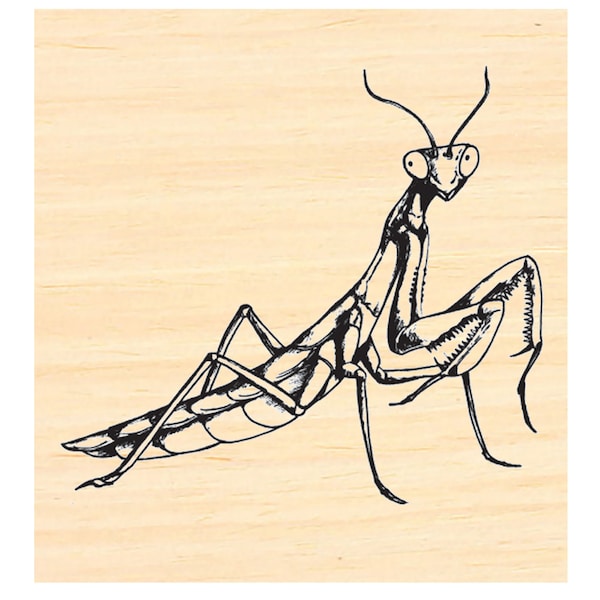 P129 Praying Mantis rubber stamp