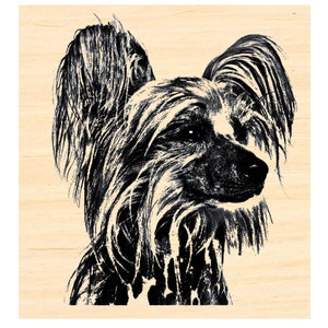 May include: Black and white illustration of a Chinese Crested dog. The dog's fur is depicted with detailed strokes, creating a textured appearance. The background is a light beige color, providing a neutral backdrop for the dog's portrait.