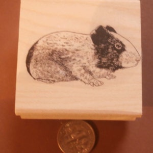 Könnte beinhalten: Ein Holzstempel mit einer Schwarzweißillustration eines Meerschweinchens.