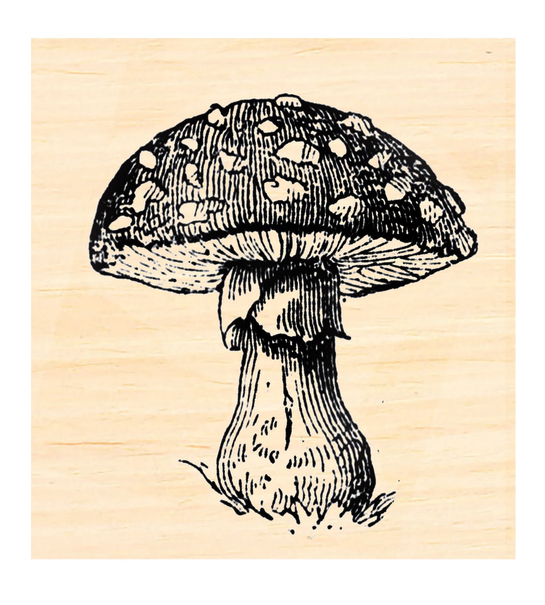 Mushroom Rubber Stamp P129 Etsy
