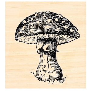 Pilz Stempel P129