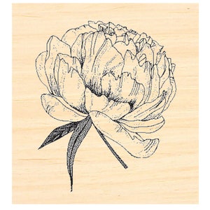 P141 Pfingstrose Blumenstempel