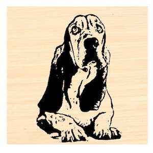 P121 Basset hound dog rubber stamp