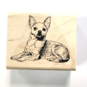 May include: A black and white line drawing of a chihuahua dog lying down on a wooden surface. The dog is looking directly at the viewer.