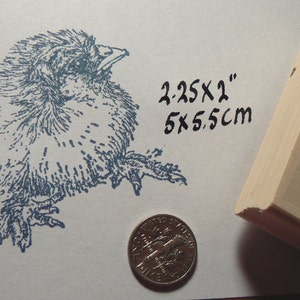 Baby Chicken rubber stamp Chick WM P27 image 3