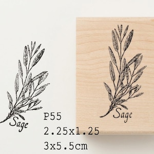 May include: A wooden stamp featuring a black illustration of a sage sprig and the word "Sage". The stamp is 5.5cm x 3cm. A smaller version of the image is printed on the left, with the text "P55" and measurements.