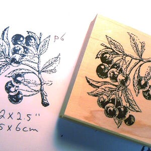 Kirschen Stempel WM P6
