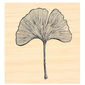 Carimbo de borracha P129 Folha de Ginkgo Biloba