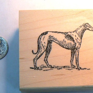 Greyhound dog rubber stamp WM P37