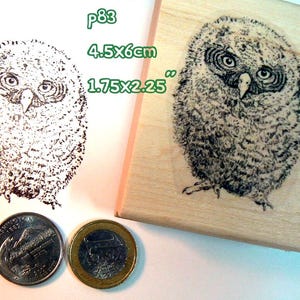 P83  Hand drawn Owlet, owl baby rubber stamp