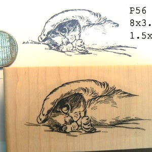 P56 Sleepy kitten rubber stamp