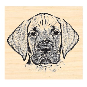 P129 Puppy dog rubber stamp